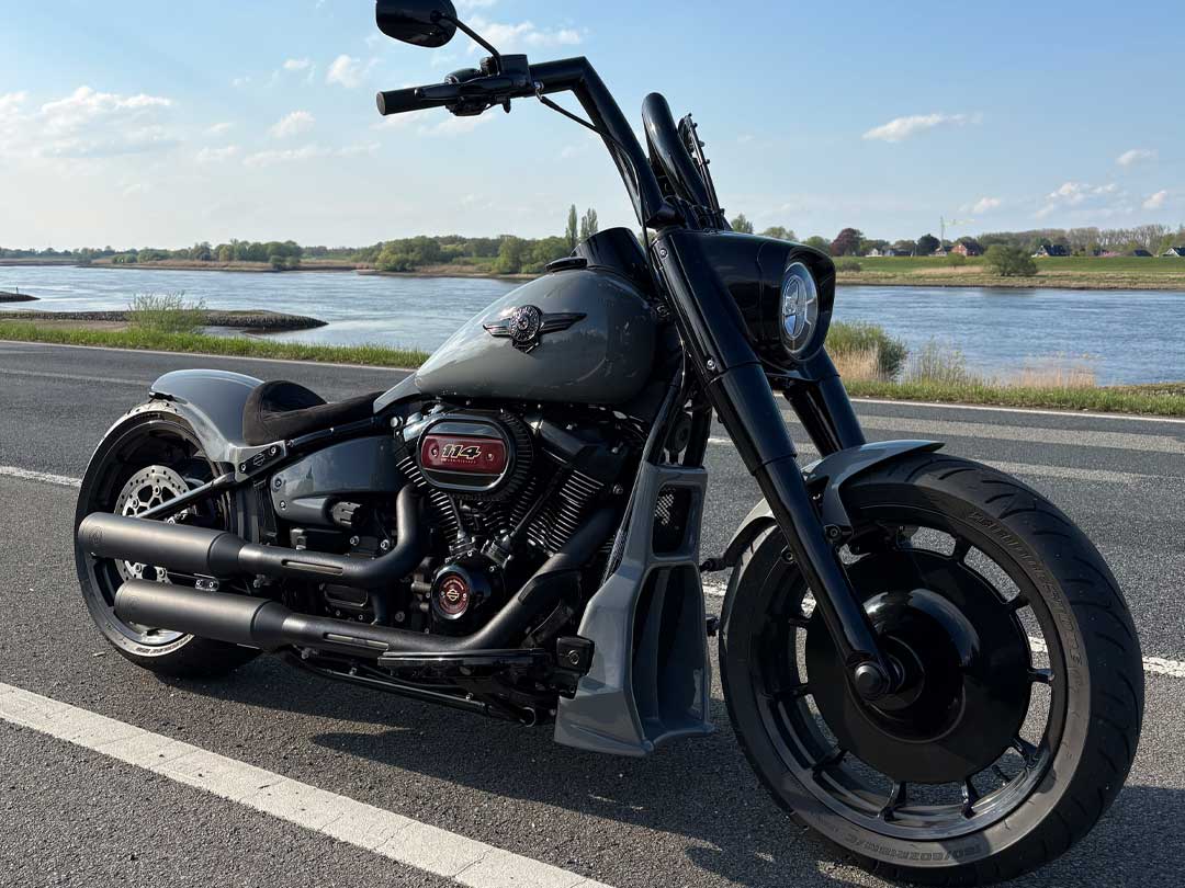 Harley Fatboy reference photo